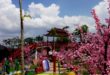 Wisata Kampung Korea Bandung yang Lagi Hits, Cek Fasilitas dan Harga Tiketnya