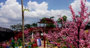 Wisata Kampung Korea Bandung yang Lagi Hits, Cek Fasilitas dan Harga Tiketnya